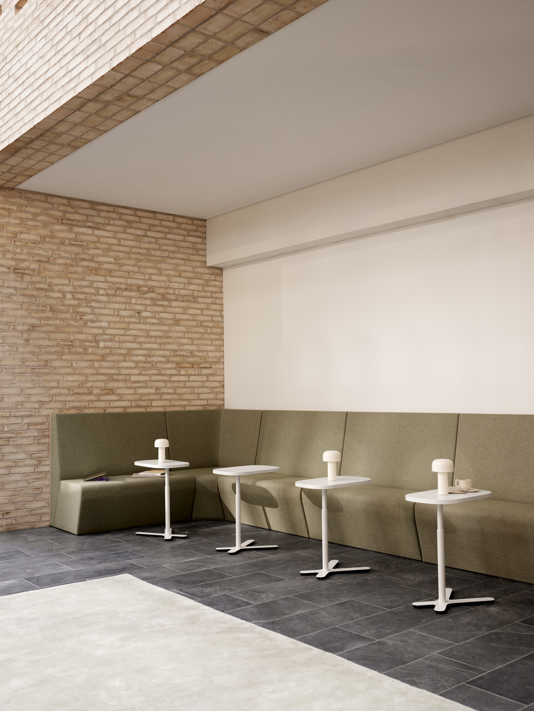 Senator.Core.Dtos.ImageWithMetaDataDto..AltTag