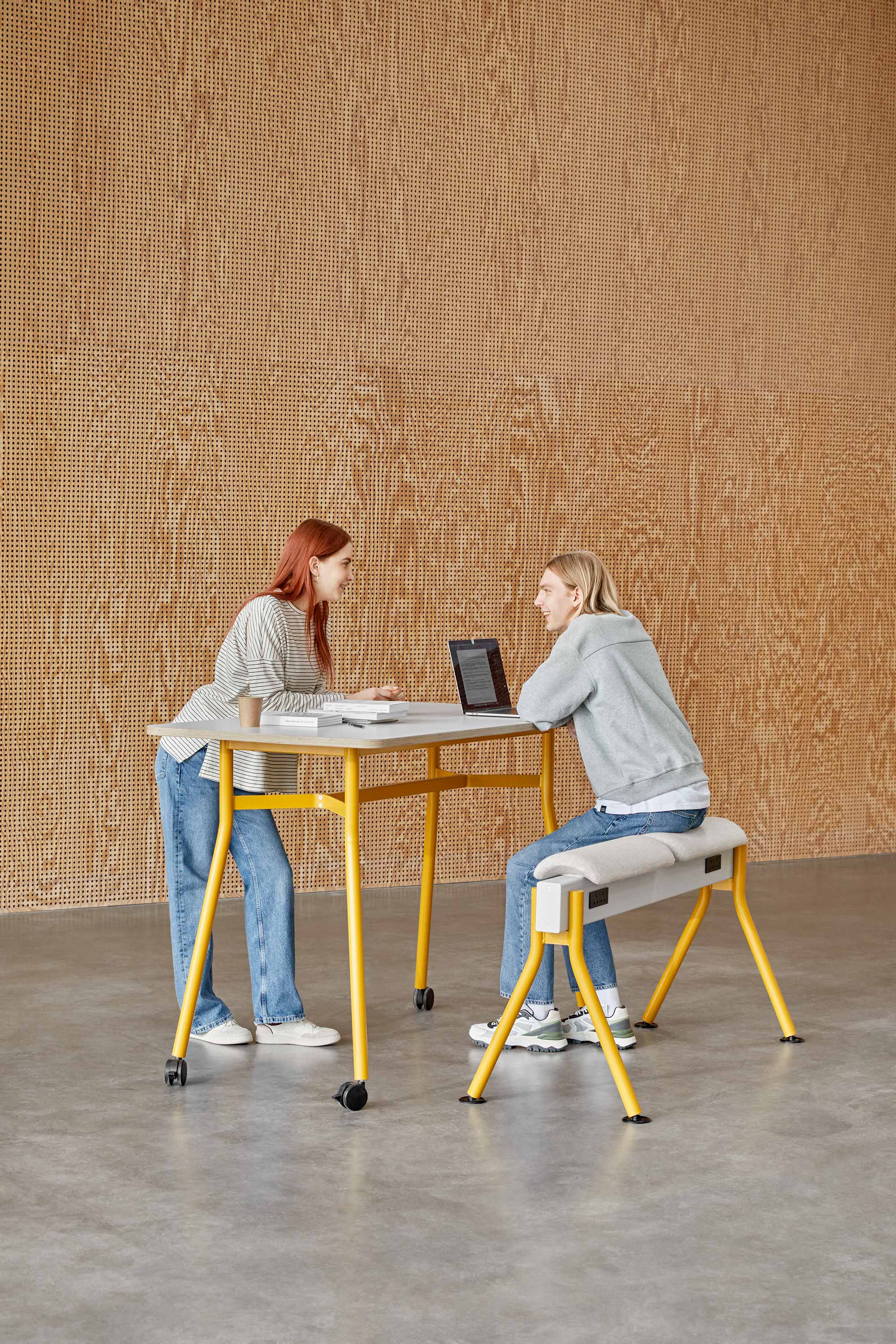 Senator.Core.Dtos.ImageWithMetaDataDto..AltTag